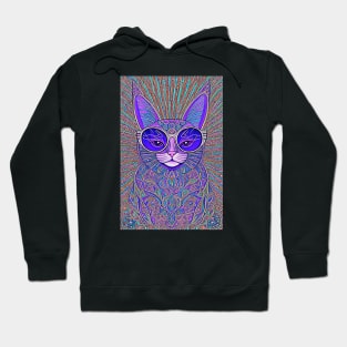 Cosmos Cat Wearing Sunglasses- Hubble! Hoodie